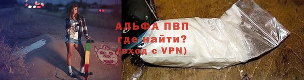PSILOCYBIN Балабаново