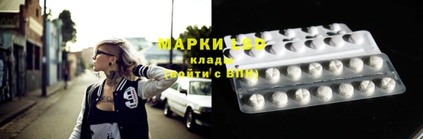 PSILOCYBIN Балабаново