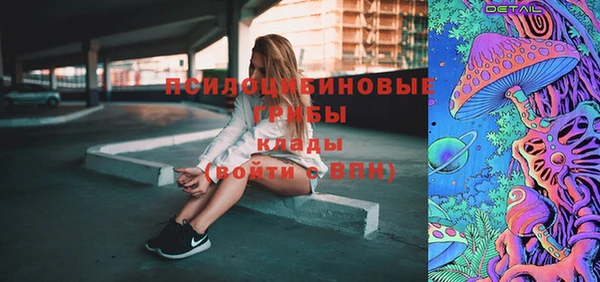 PSILOCYBIN Балабаново