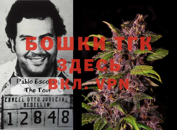 дживик Балахна