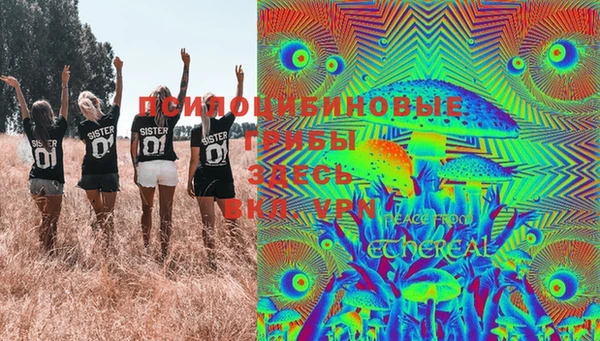 PSILOCYBIN Балабаново