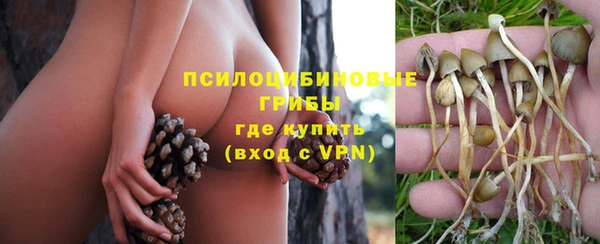 дживик Балахна