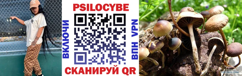 Купить закладки Видное Псилоцибиновые грибы Cubensis